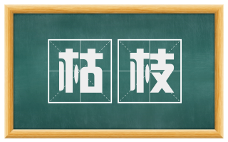 枯枝