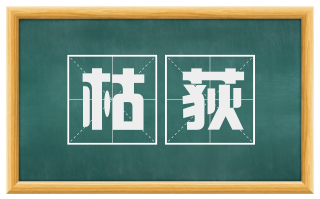 枯荻