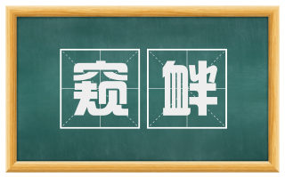 窥衅