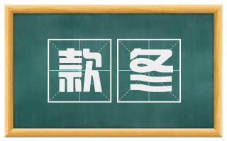 款冬