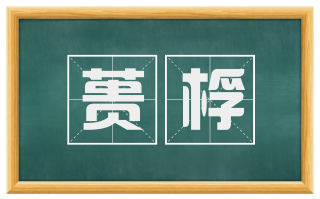 蒉桴