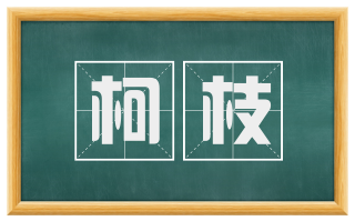 柯枝