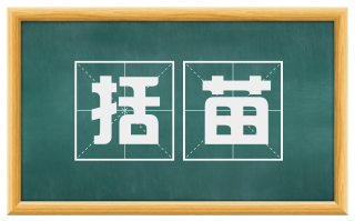 括苗