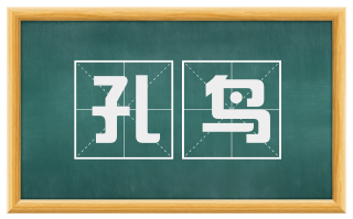 孔鸟