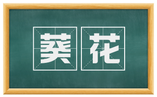 葵花
