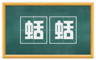蛞蛞
