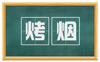 烤烟