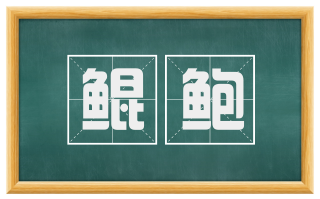 鲲鲍