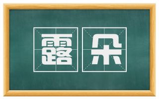 露朵
