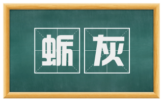 蛎灰