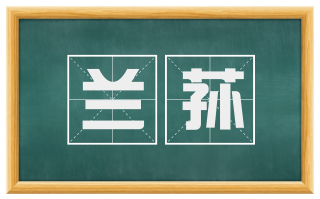 兰荪