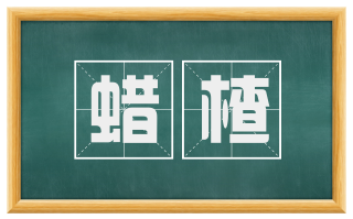 蜡楂