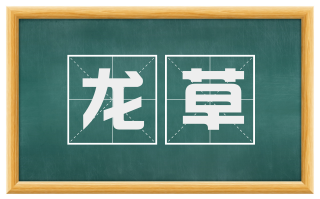 龙草