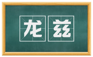 龙兹