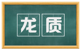 龙质