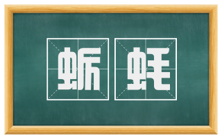 蛎蚝