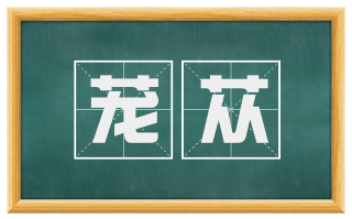 茏苁