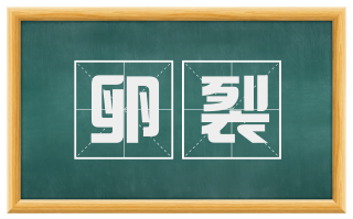 卵裂