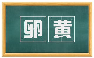 卵黄