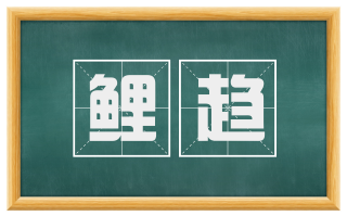 鲤趋