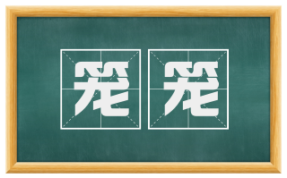 笼笼