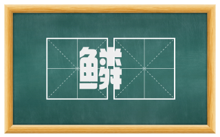 鳞鱽