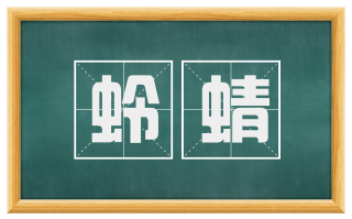 蛉蜻