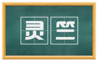 灵竺