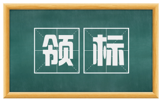 领标