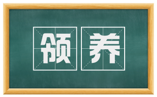 领养