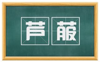 芦菔