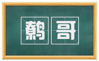 鹩哥