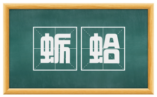 蛎蛤