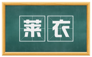 莱衣