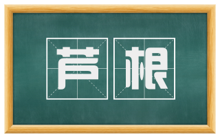芦根