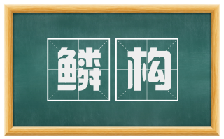 鳞构