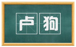 卢狗
