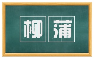 柳蒲