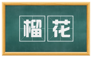 榴花