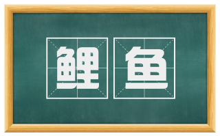鲤鱼