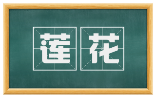 莲花