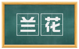 兰花