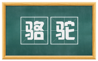 骆驼