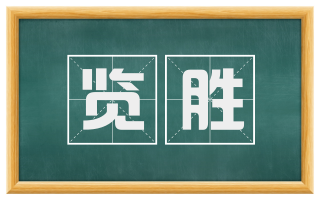 览胜
