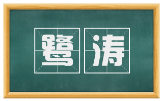 鹭涛