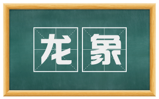 龙象