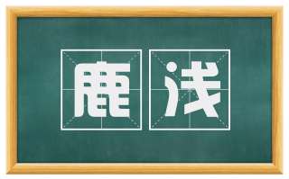鹿浅
