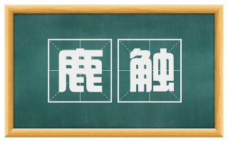 鹿触