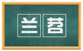 兰苕