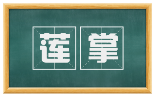 莲掌